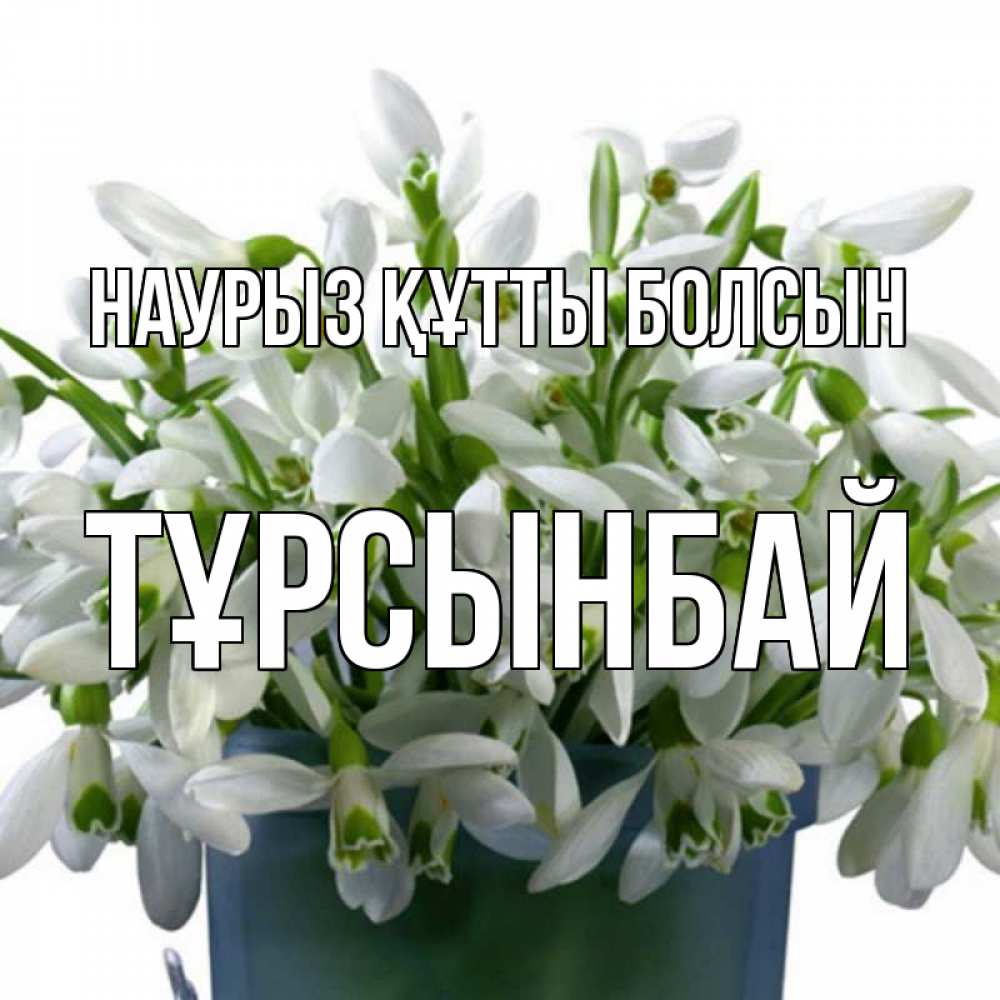 Күн сайын ашық хат с именем, ТҰРСЫНБАЙ Наурыз құтты болсын цветы к наурызу Онлайн тегін жүктеп алу тілектері бар керемет карта 