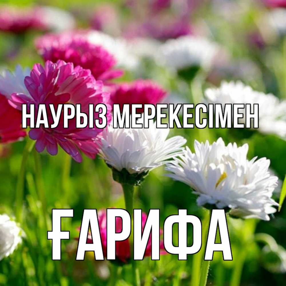 Күн сайын ашық хат с именем, ҒАРИФА Наурыз мерекесімен праздник весны наурыз красота Онлайн тегін жүктеп алу тілектері бар керемет карта 