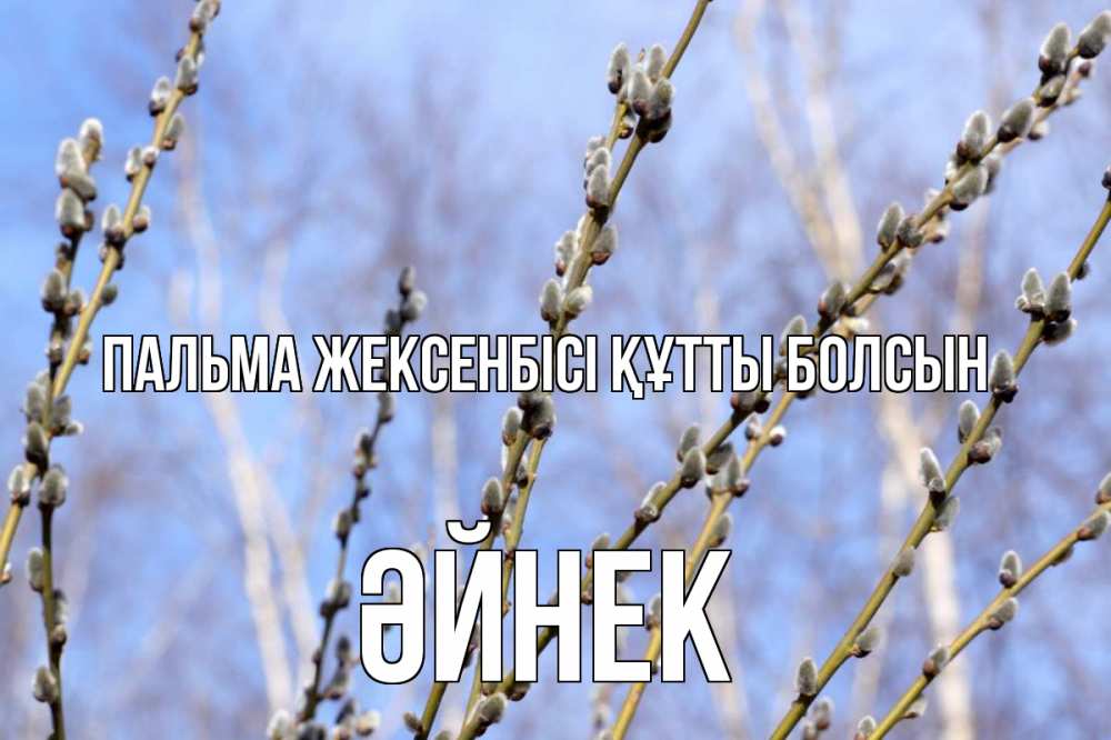 Күн сайын ашық хат с именем, ӘЙНЕК Пальма жексенбісі құтты болсын верба Онлайн тегін жүктеп алу тілектері бар керемет карта 