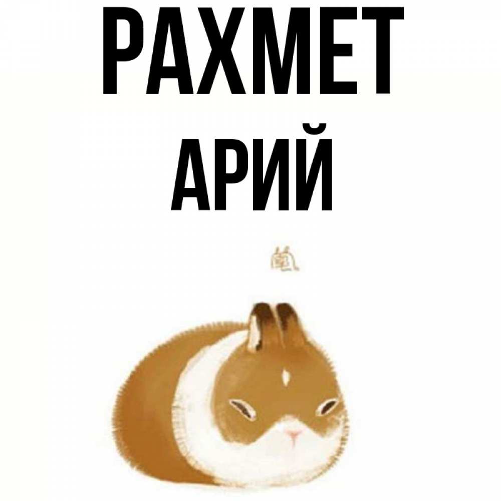 Күн сайын ашық хат с именем, Арий рахмет коричнево белый домашний питомец Онлайн тегін жүктеп алу тілектері бар керемет карта 