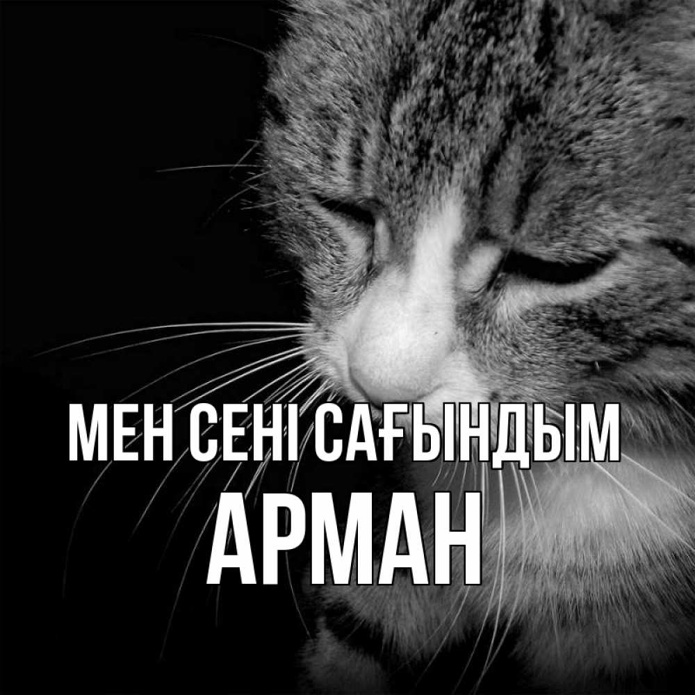 Күн сайын ашық хат с именем, Арман Мен сені сағындым мне скучно Онлайн тегін жүктеп алу тілектері бар керемет карта 