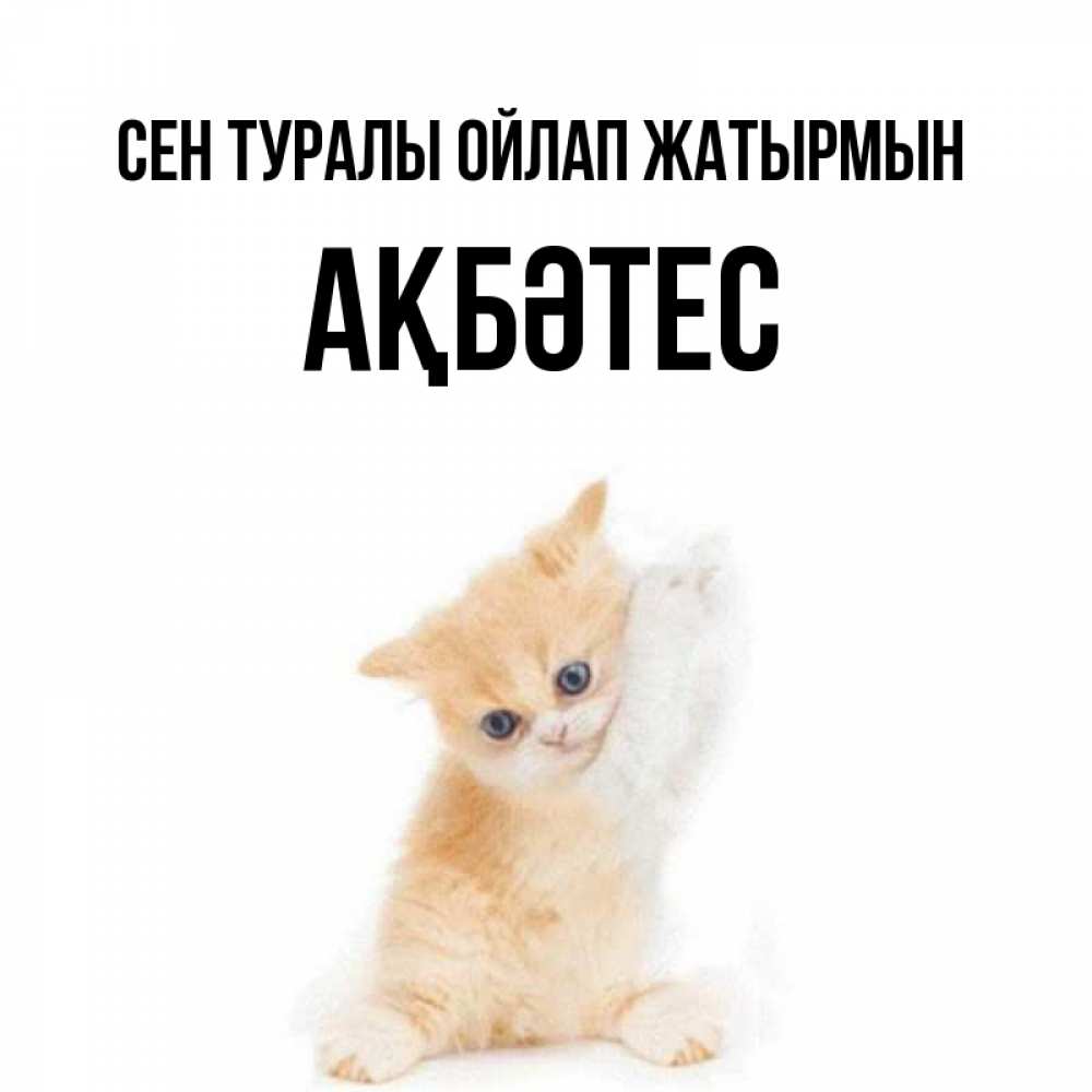 Күн сайын ашық хат с именем, АҚБӘТЕС Сен туралы ойлап жатырмын зверушки и милота Онлайн тегін жүктеп алу тілектері бар керемет карта 