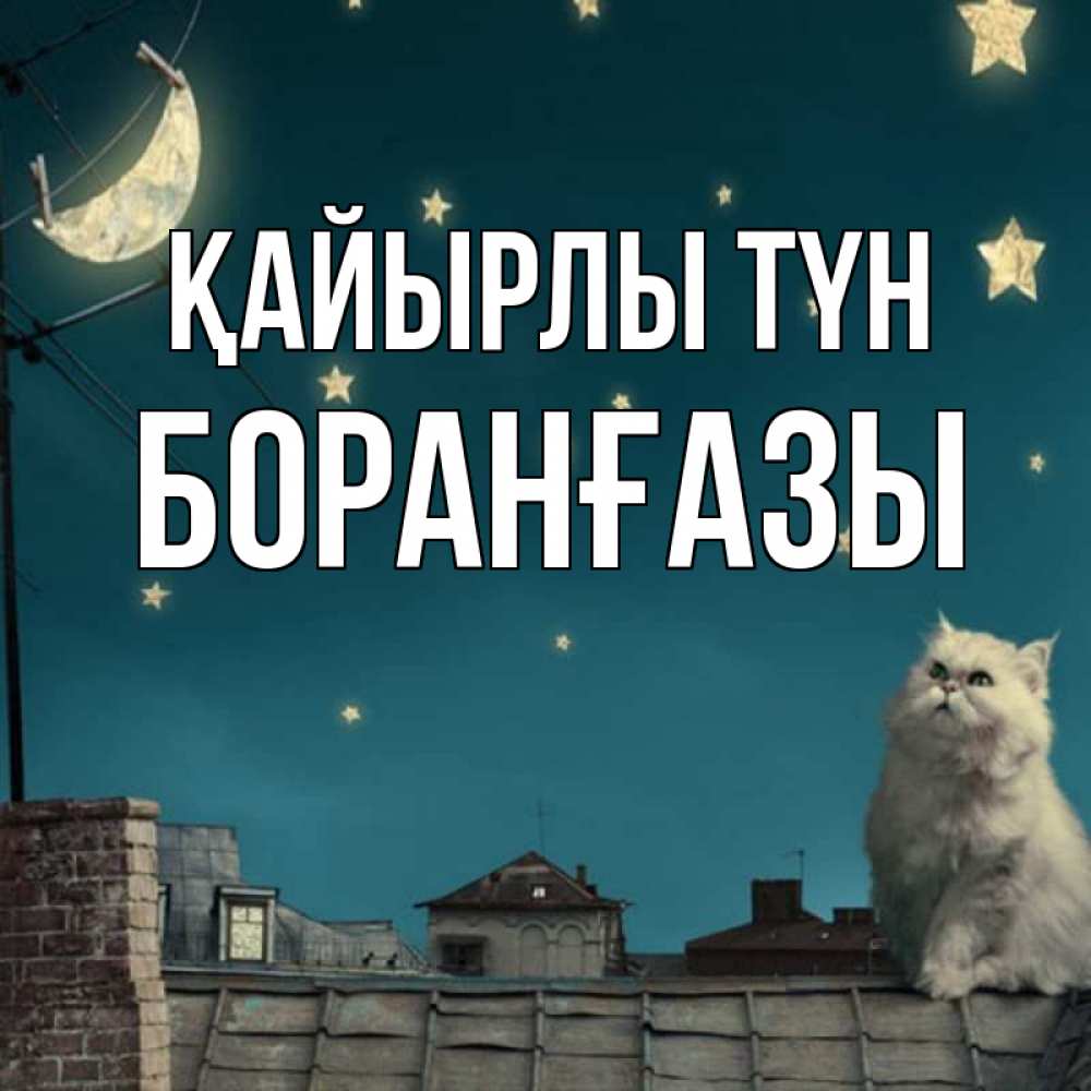 Күн сайын ашық хат с именем, Боранғазы Қайырлы түн белый кот сидит на крыше Онлайн тегін жүктеп алу тілектері бар керемет карта 