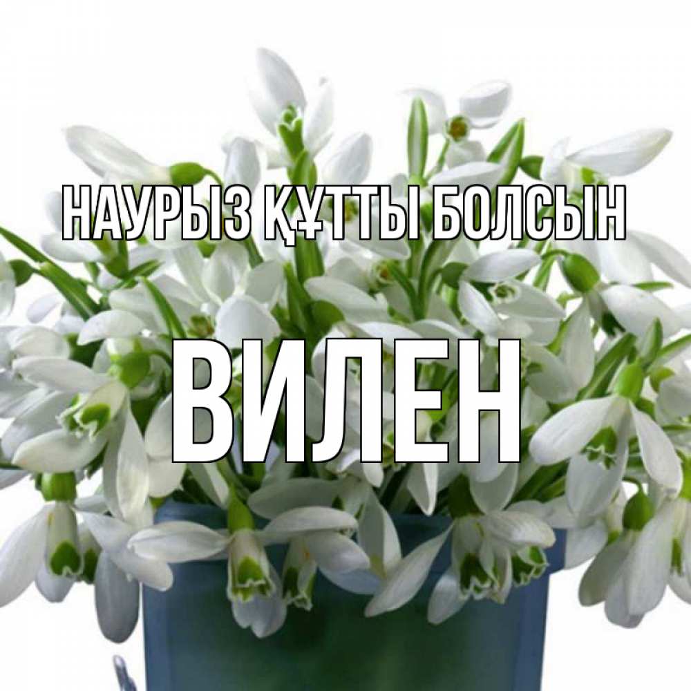 Күн сайын ашық хат с именем, Вилен Наурыз құтты болсын цветы к наурызу Онлайн тегін жүктеп алу тілектері бар керемет карта 