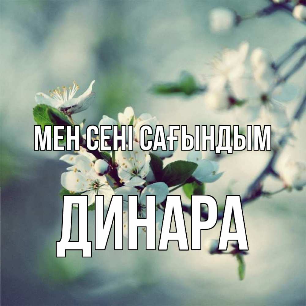 Күн сайын ашық хат с именем, ДИНАРА Мен сені сағындым весна Онлайн тегін жүктеп алу тілектері бар керемет карта 