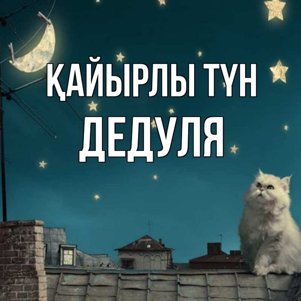Күн сайын ашық хат с именем, Дедуля Қайырлы түн белый кот сидит на крыше Онлайн тегін жүктеп алу тілектері бар керемет карта 