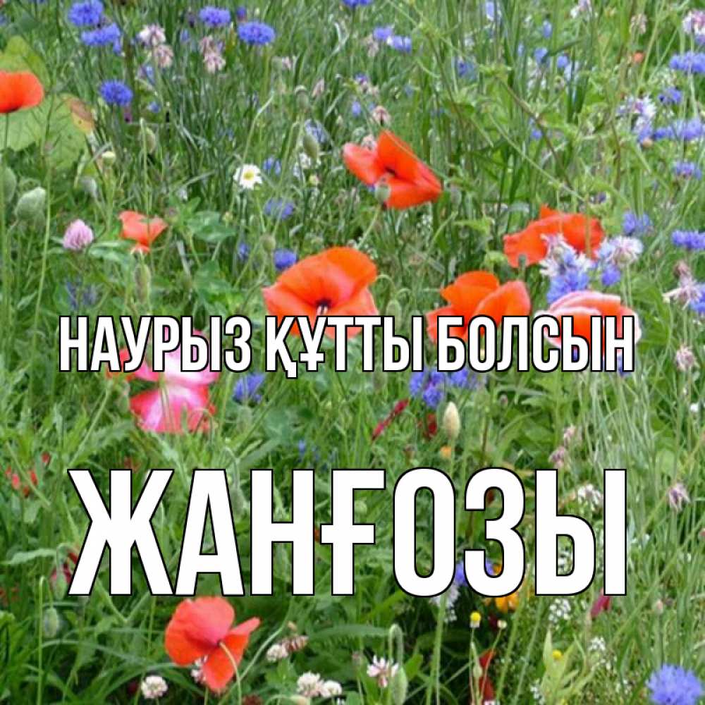 Күн сайын ашық хат с именем, Жанғозы Наурыз құтты болсын наурыз  4 Онлайн тегін жүктеп алу тілектері бар керемет карта 