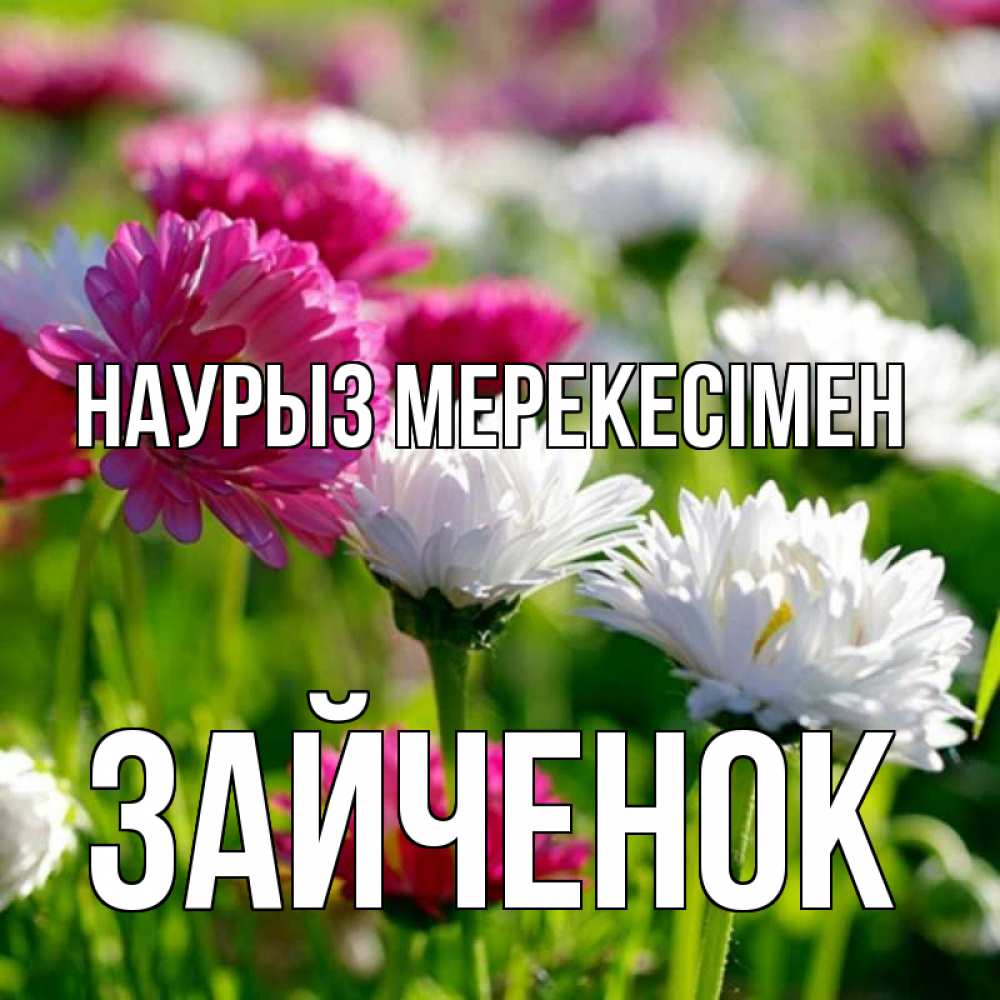 Күн сайын ашық хат с именем, Зайченок Наурыз мерекесімен праздник весны наурыз красота Онлайн тегін жүктеп алу тілектері бар керемет карта 