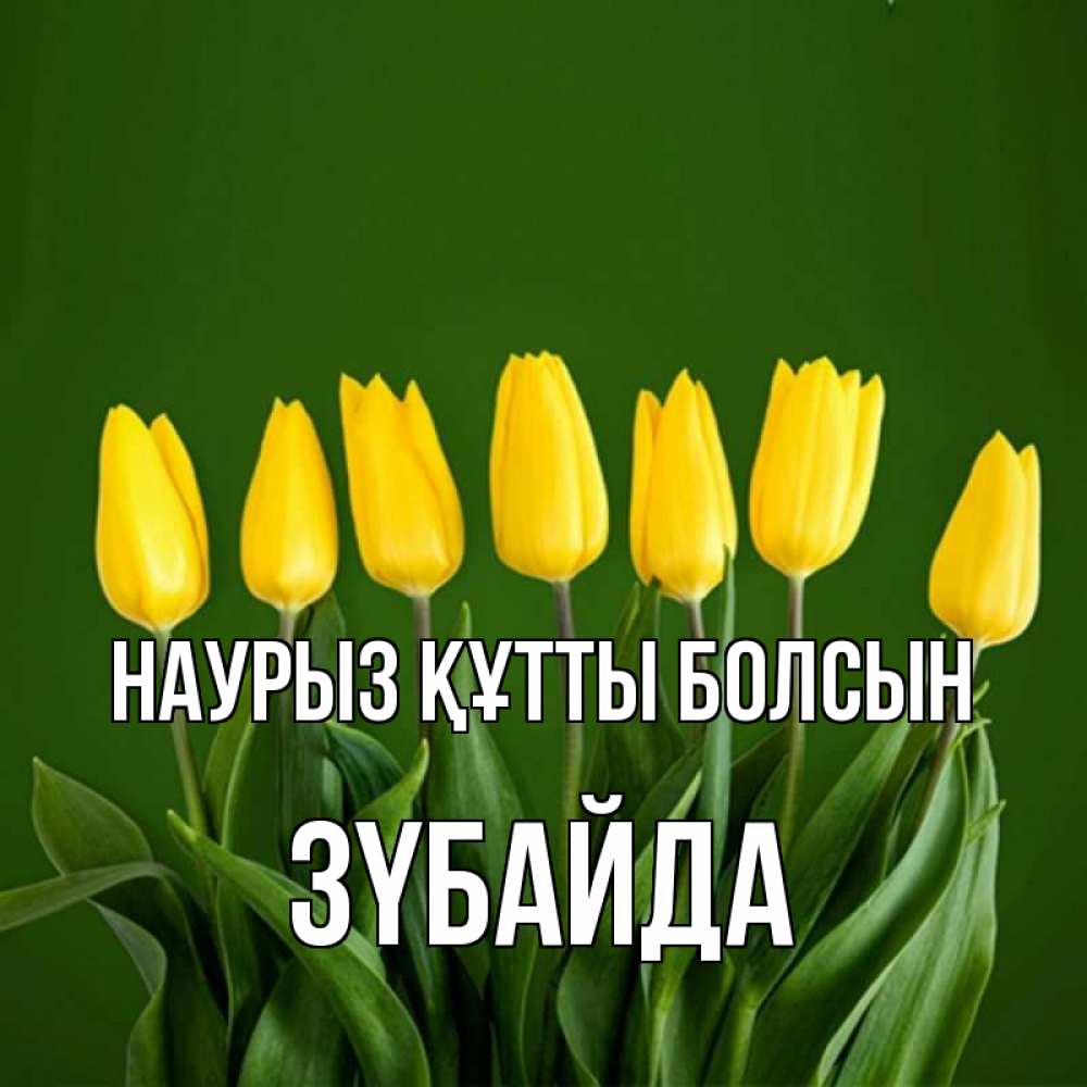 Күн сайын ашық хат с именем, ЗҮБАЙДА Наурыз құтты болсын желтого цвета 3 Онлайн тегін жүктеп алу тілектері бар керемет карта 