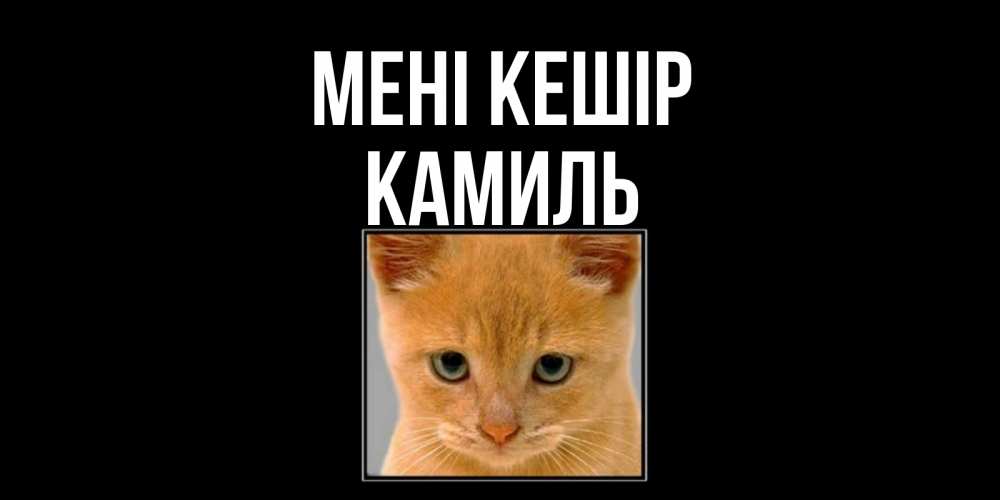 Күн сайын ашық хат с именем, Камиль Мені кешір рыжий грустный кот просит прощения Онлайн тегін жүктеп алу тілектері бар керемет карта 