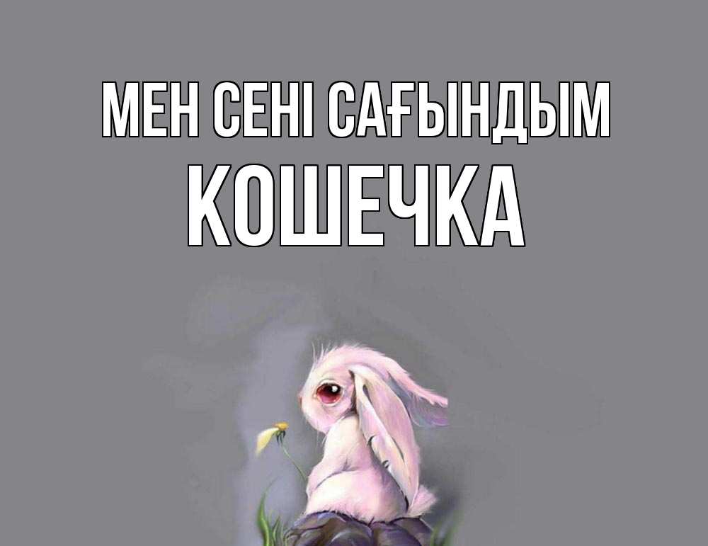 Күн сайын ашық хат с именем, Кошечка Мен сені сағындым заяц Онлайн тегін жүктеп алу тілектері бар керемет карта 