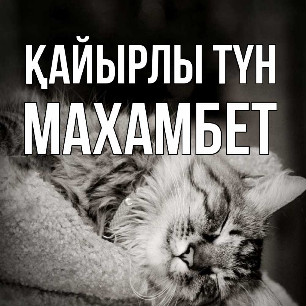 Күн сайын ашық хат с именем, МАХАМБЕТ Қайырлы түн котярик пушистый Онлайн тегін жүктеп алу тілектері бар керемет карта 