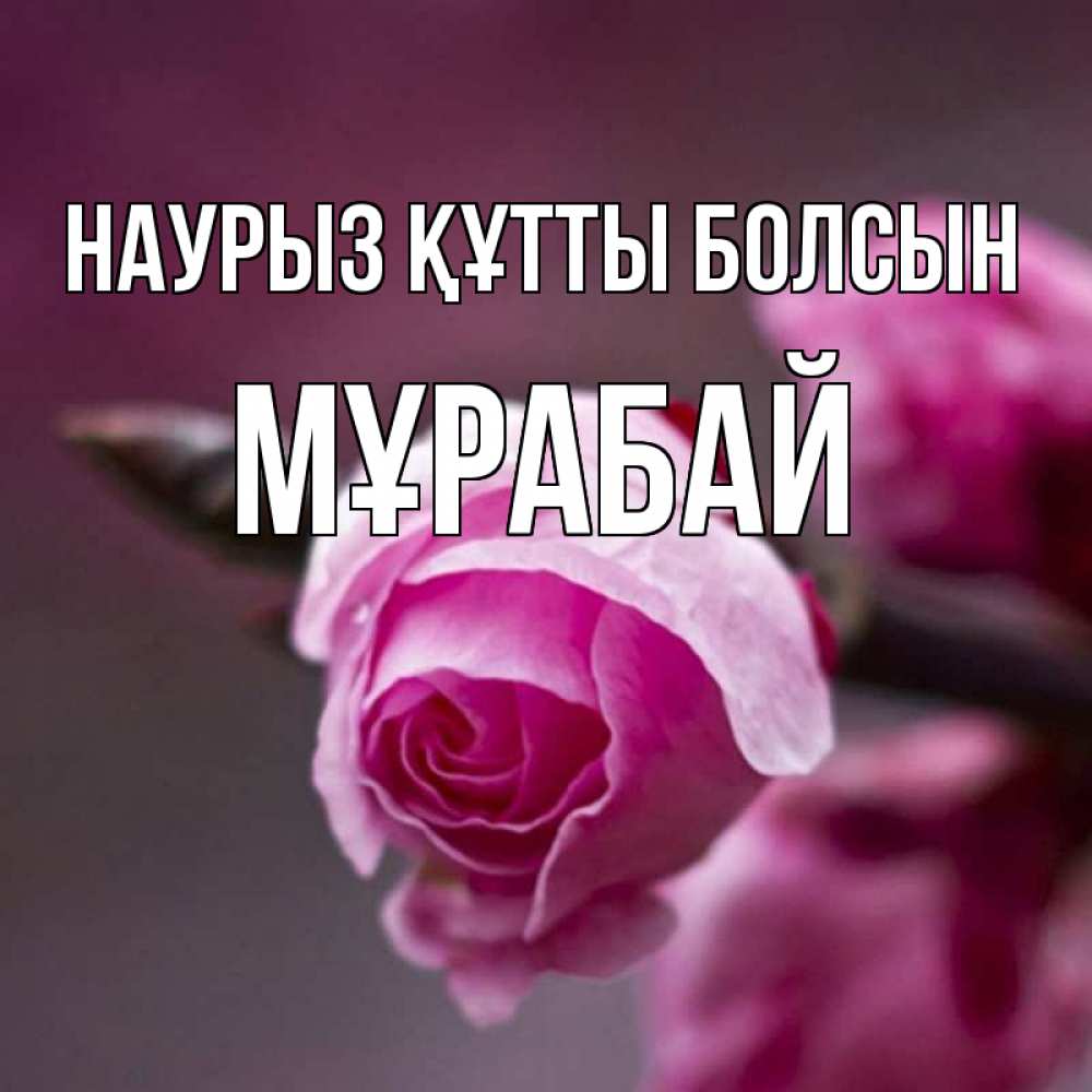 Күн сайын ашық хат с именем, МҰРАБАЙ Наурыз құтты болсын весна Онлайн тегін жүктеп алу тілектері бар керемет карта 