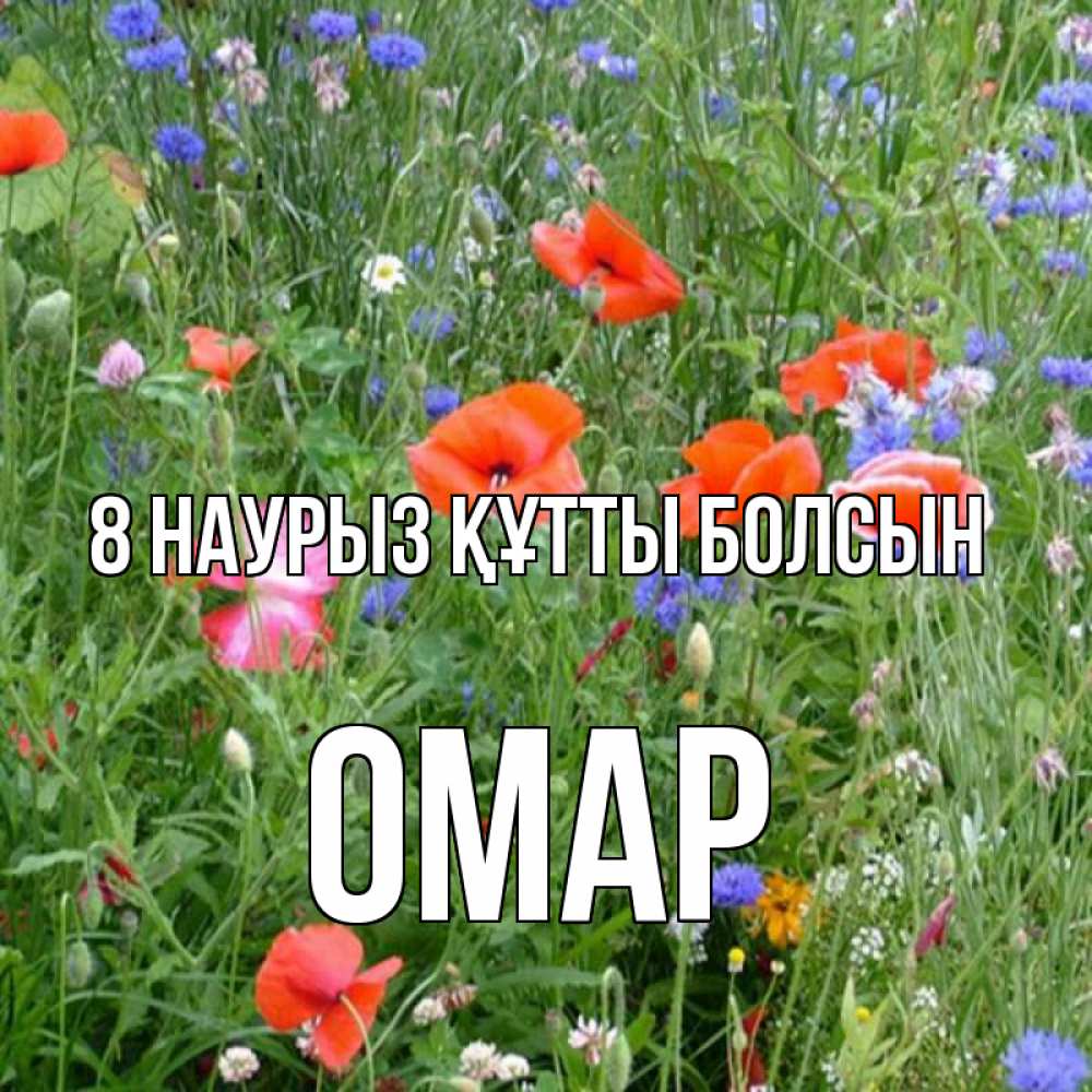 Күн сайын ашық хат с именем, ОМАР 8 наурыз құтты болсын международный женский день 4 Онлайн тегін жүктеп алу тілектері бар керемет карта 