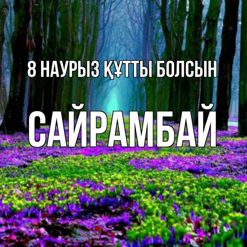Күн сайын ашық хат с именем, САЙРАМБАЙ 8 наурыз құтты болсын фиолетовые цветы в лесу 1 Онлайн тегін жүктеп алу тілектері бар керемет карта 