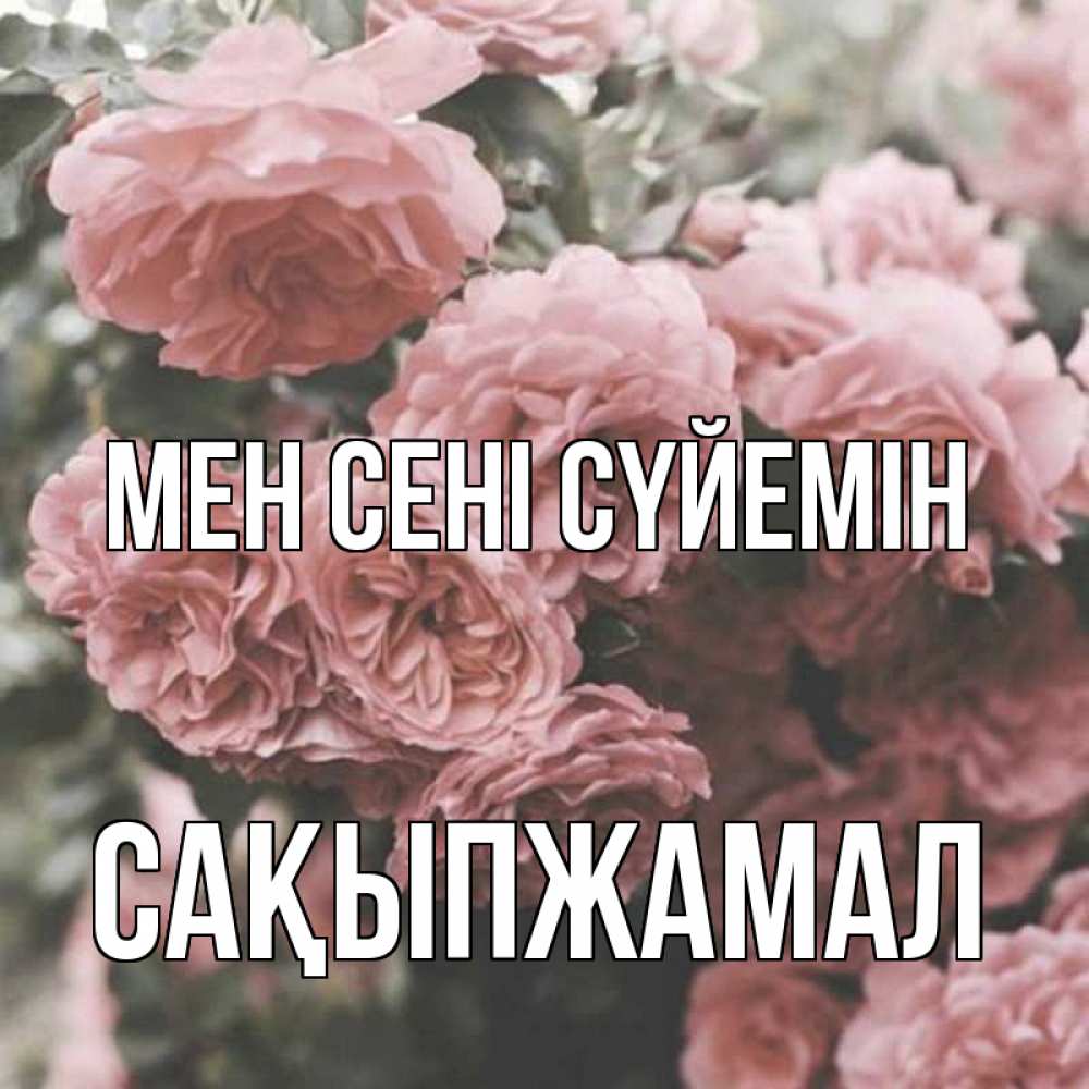 Күн сайын ашық хат с именем, САҚЫПЖАМАЛ Мен сені сүйемін розы 3 Онлайн тегін жүктеп алу тілектері бар керемет карта 