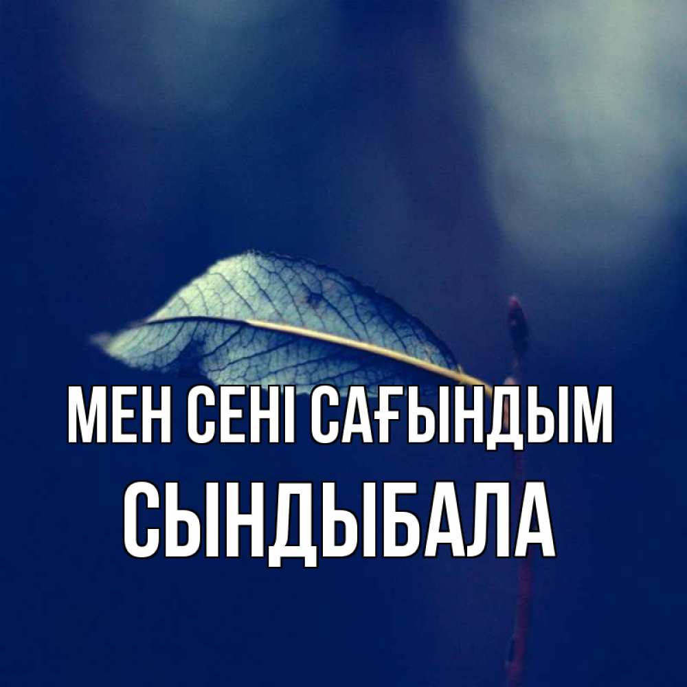 Күн сайын ашық хат с именем, СЫНДЫБАЛА Мен сені сағындым одна ветка 1 Онлайн тегін жүктеп алу тілектері бар керемет карта 