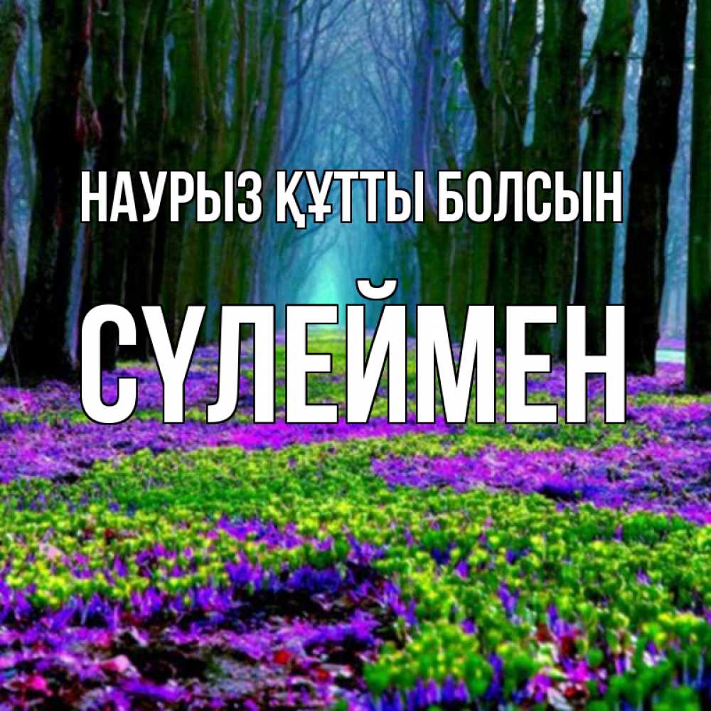 Күн сайын ашық хат с именем, СҮЛЕЙМЕН Наурыз құтты болсын фиолетовые цветы в лесу 1 Онлайн тегін жүктеп алу тілектері бар керемет карта 
