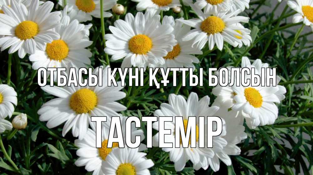 Күн сайын ашық хат с именем, ТАСТЕМІР отбасы күні құтты болсын с днем семьи Онлайн тегін жүктеп алу тілектері бар керемет карта 