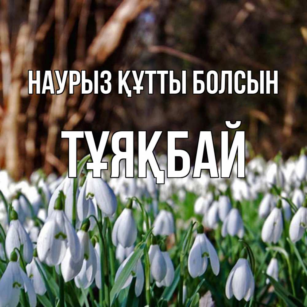 Күн сайын ашық хат с именем, ТҰЯҚБАЙ Наурыз құтты болсын с подснежниками 1 Онлайн тегін жүктеп алу тілектері бар керемет карта 