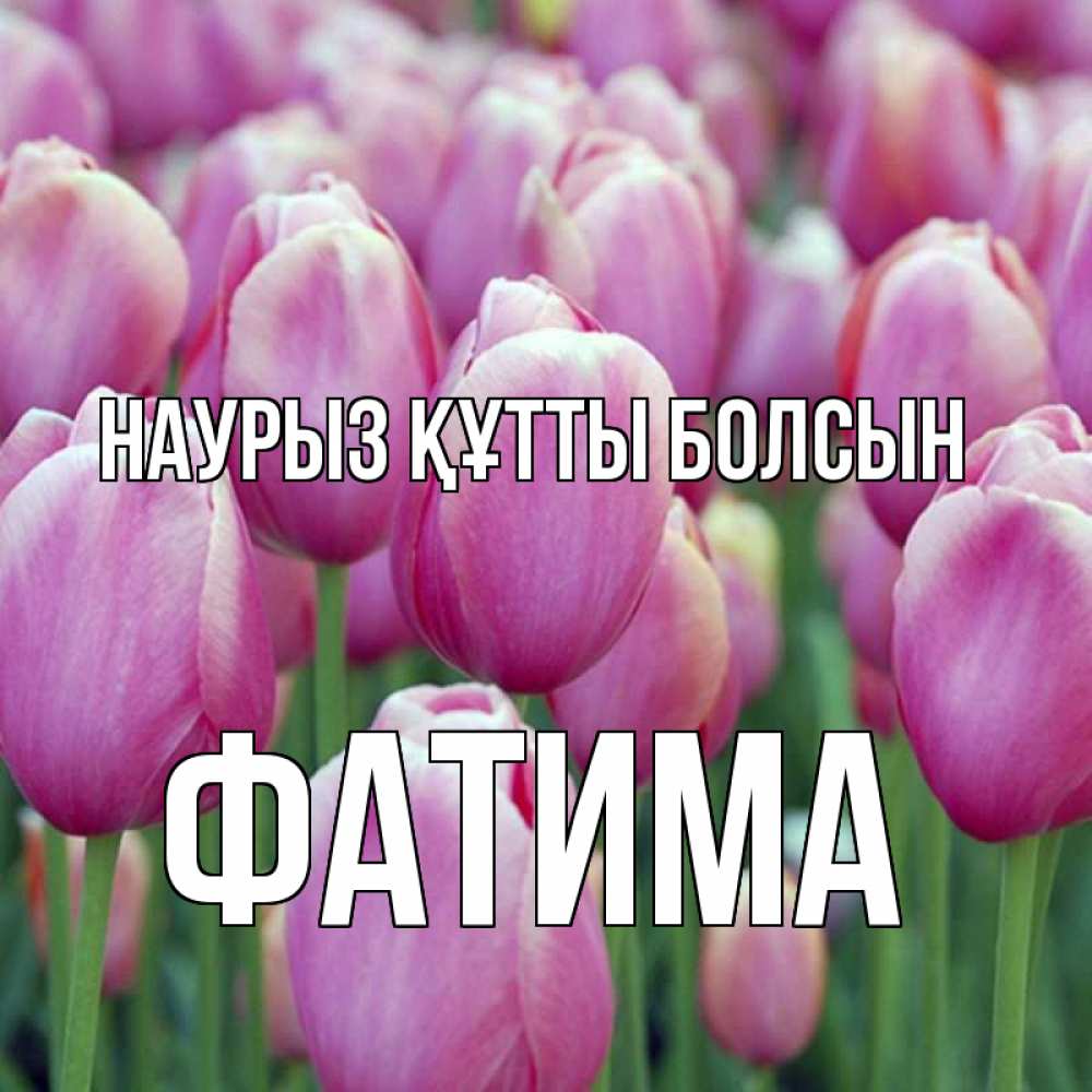 Күн сайын ашық хат с именем, ФАТИМА Наурыз құтты болсын на наурыз  день 3 Онлайн тегін жүктеп алу тілектері бар керемет карта 
