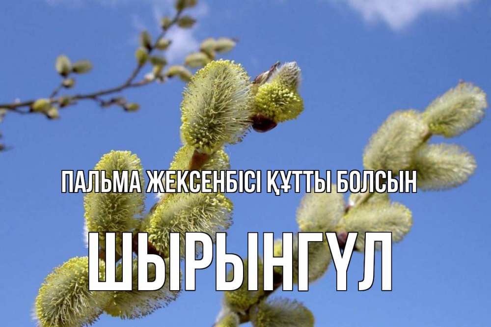Күн сайын ашық хат с именем, ШЫРЫНГҮЛ Пальма жексенбісі құтты болсын верба Онлайн тегін жүктеп алу тілектері бар керемет карта 