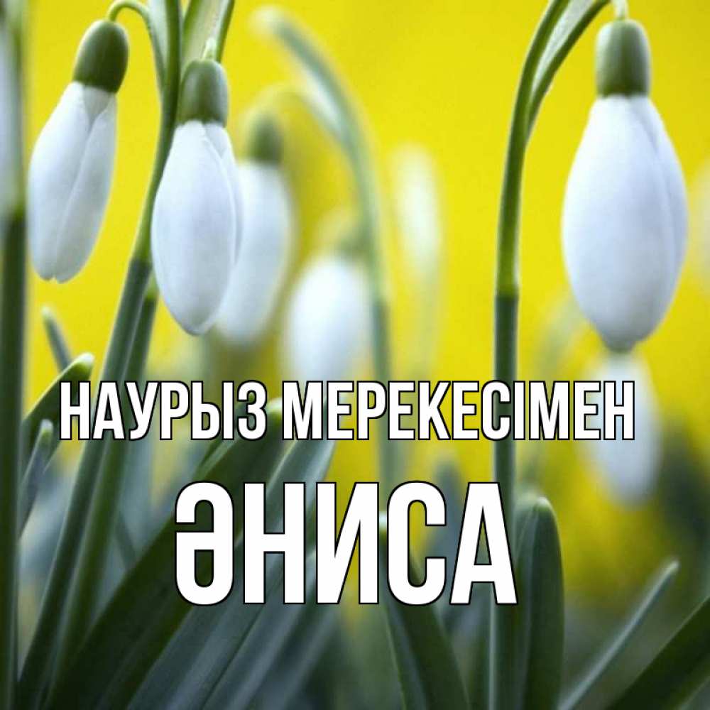 Күн сайын ашық хат с именем, ӘНИСА Наурыз мерекесімен весенние цветы Онлайн тегін жүктеп алу тілектері бар керемет карта 