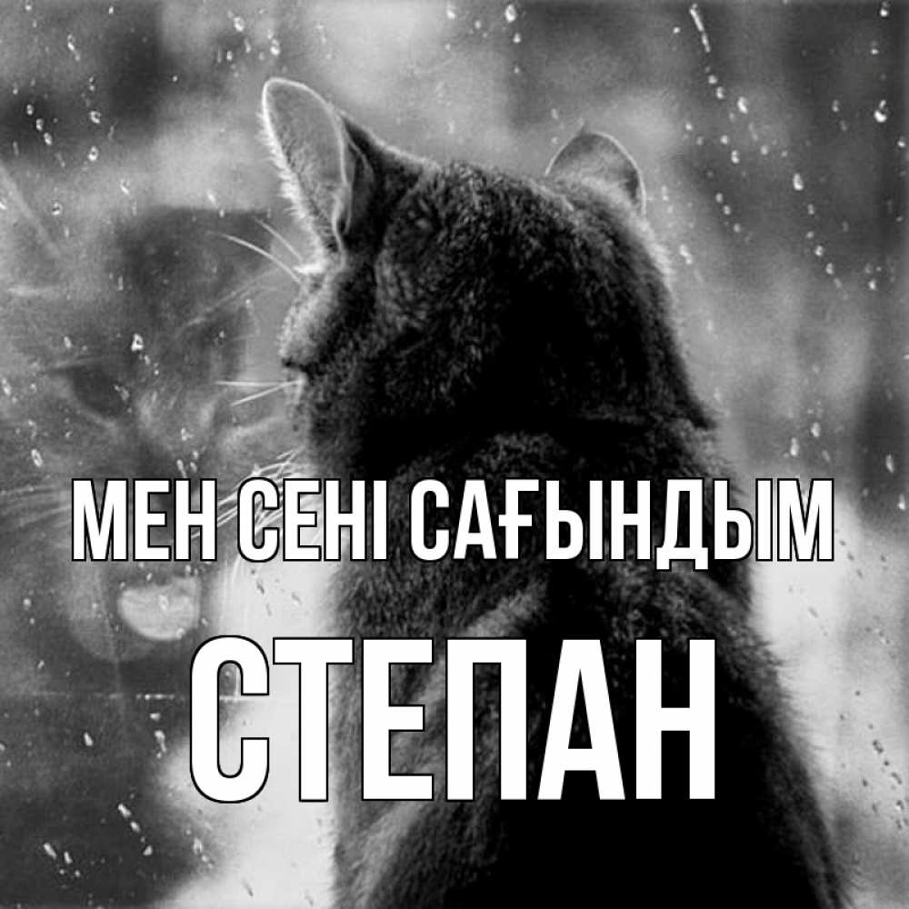 Күн сайын ашық хат с именем, Степан Мен сені сағындым скорее ко мне приходи 1 Онлайн тегін жүктеп алу тілектері бар керемет карта 