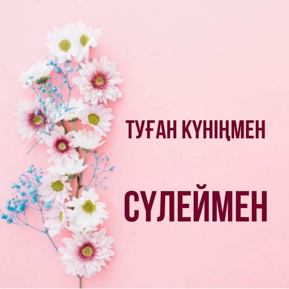 Күн сайын ашық хат с именем, СҮЛЕЙМЕН Туған күніңмен Родная моя с днем рождения тебя картинка с цветами белыми и голубыми Онлайн тегін жүктеп алу тілектері бар керемет карта 