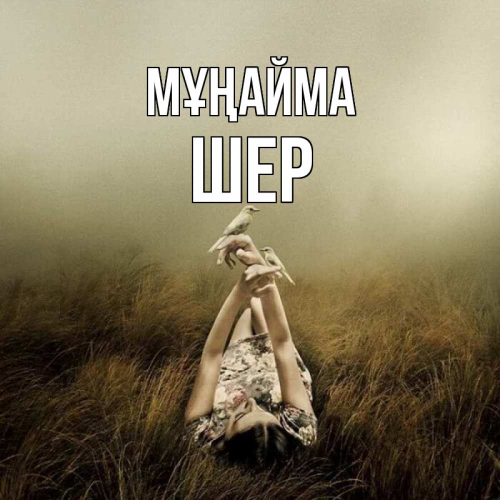 Күн сайын ашық хат с именем, ШЕР Мұңайма поле и туман Онлайн тегін жүктеп алу тілектері бар керемет карта 