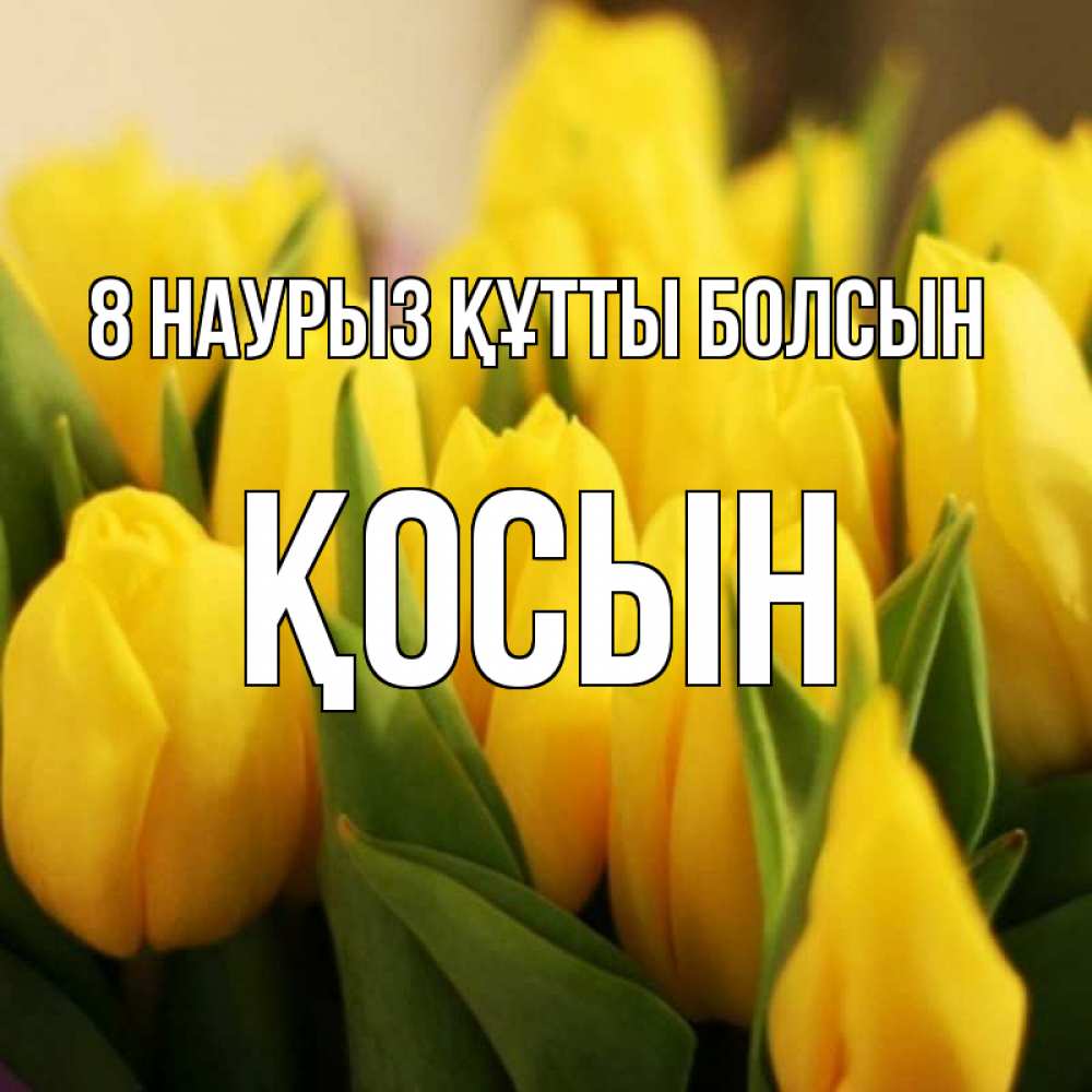 Күн сайын ашық хат с именем, ҚОСЫН 8 наурыз құтты болсын цветы Онлайн тегін жүктеп алу тілектері бар керемет карта 