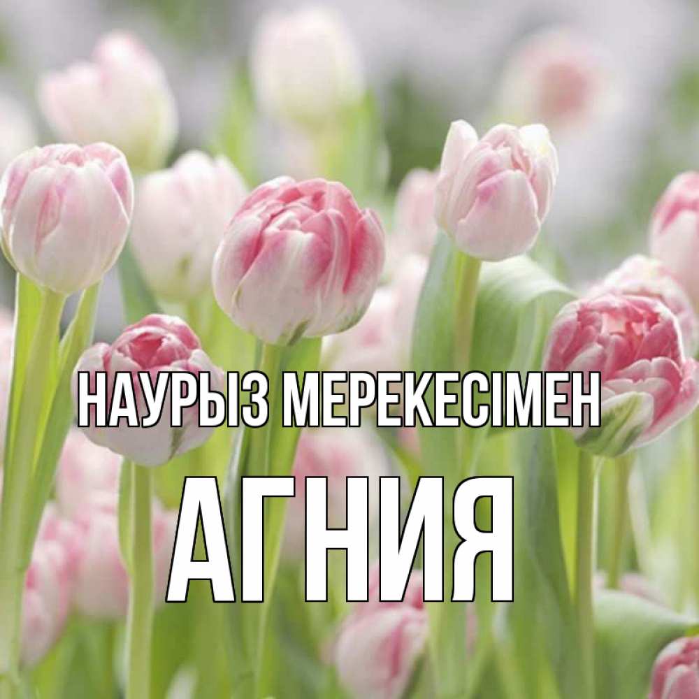 Күн сайын ашық хат с именем, Агния Наурыз мерекесімен цветы Онлайн тегін жүктеп алу тілектері бар керемет карта 