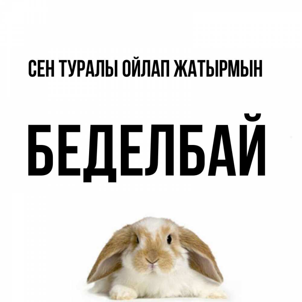 Күн сайын ашық хат с именем, Беделбай Сен туралы ойлап жатырмын подписать своими руками онлайн Онлайн тегін жүктеп алу тілектері бар керемет карта 