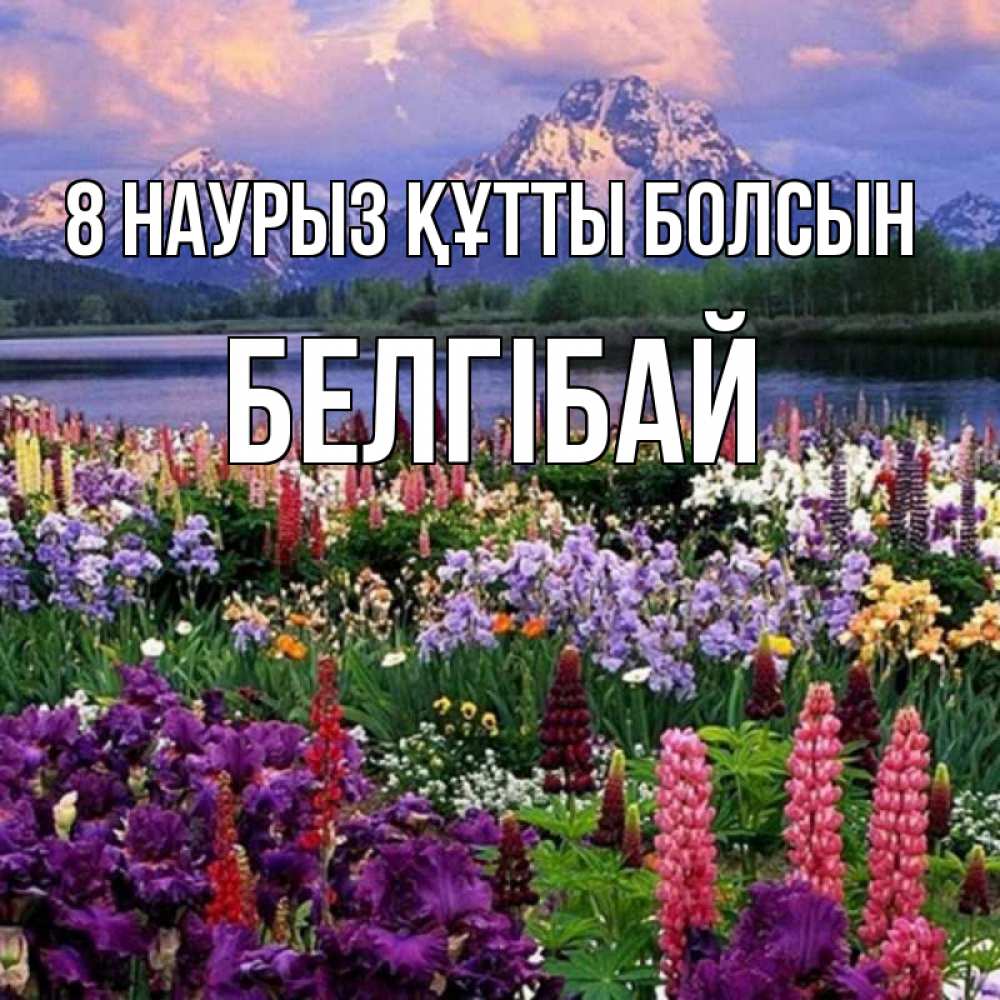 Күн сайын ашық хат с именем, Белгібай 8 наурыз құтты болсын международный женский день Онлайн тегін жүктеп алу тілектері бар керемет карта 