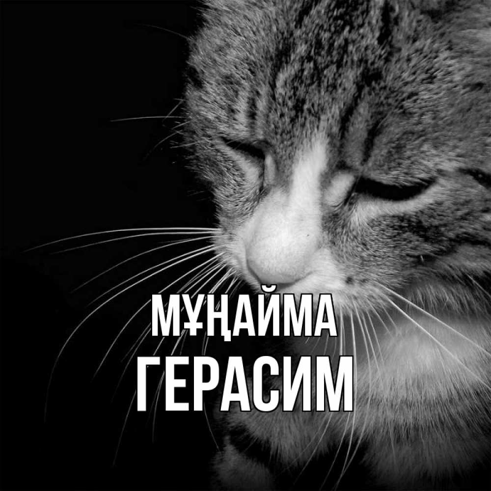 Күн сайын ашық хат с именем, Герасим Мұңайма грустный котик Онлайн тегін жүктеп алу тілектері бар керемет карта 