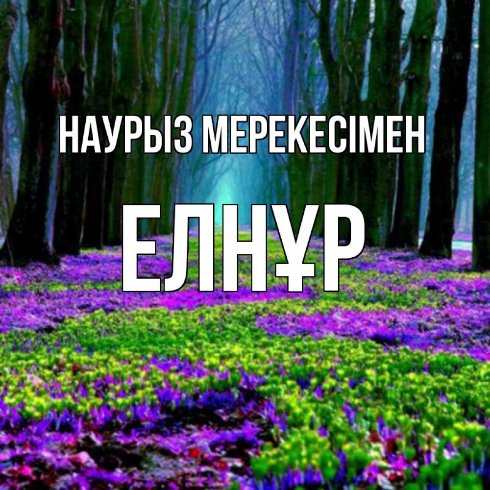 Күн сайын ашық хат с именем, Елнұр Наурыз мерекесімен фиолетовые цветы в лесу 1 Онлайн тегін жүктеп алу тілектері бар керемет карта 