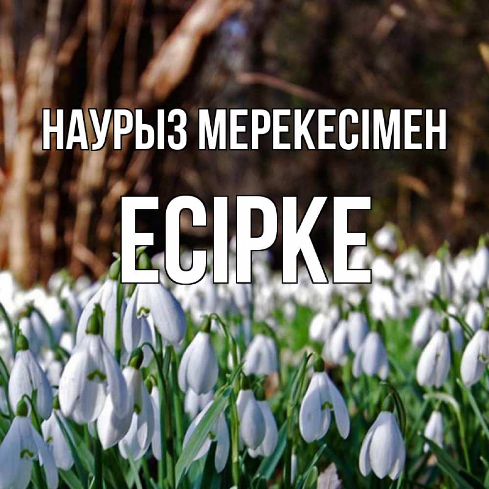 Күн сайын ашық хат с именем, Есірке Наурыз мерекесімен с подснежниками 1 Онлайн тегін жүктеп алу тілектері бар керемет карта 