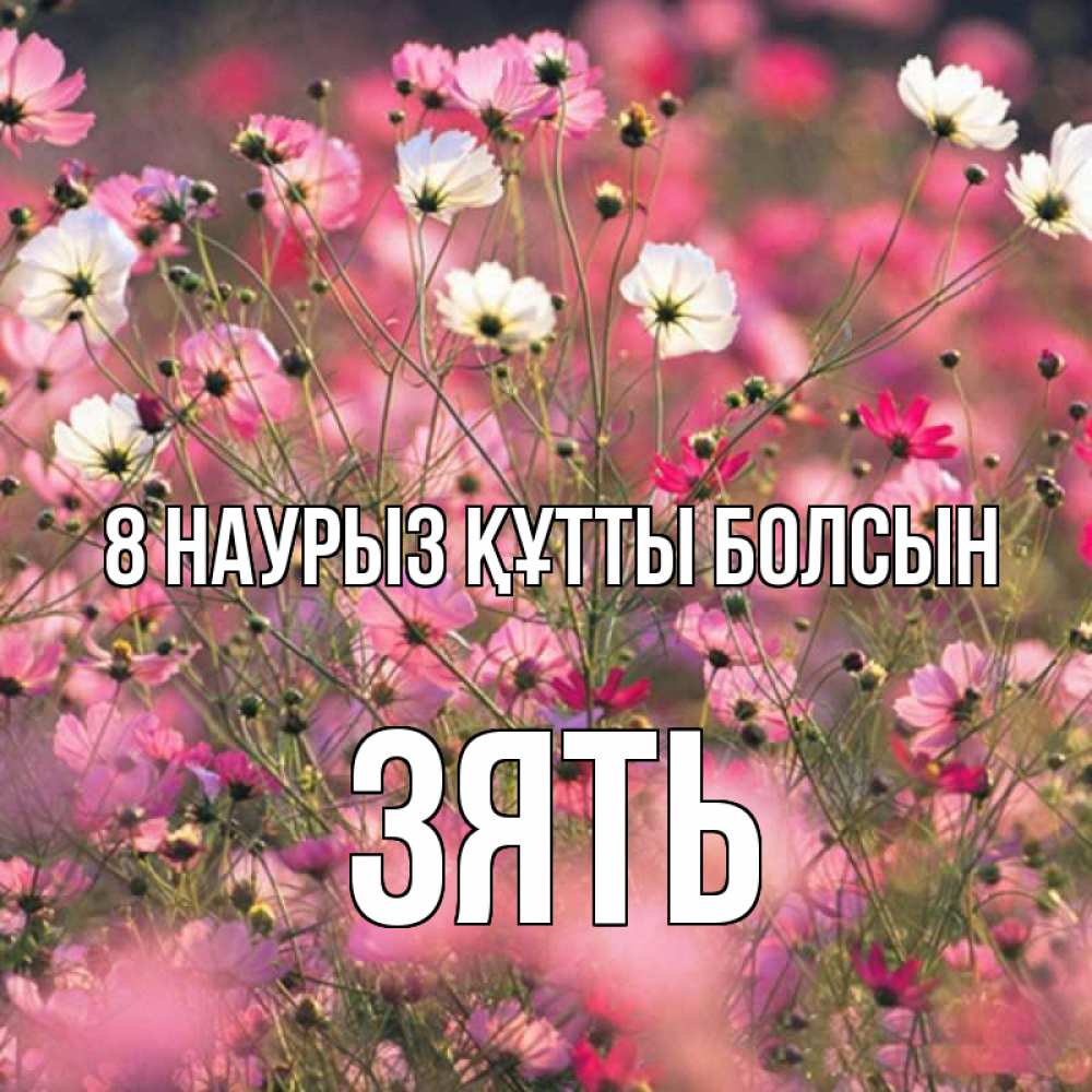Күн сайын ашық хат с именем, Зять 8 наурыз құтты болсын красиво 1 Онлайн тегін жүктеп алу тілектері бар керемет карта 