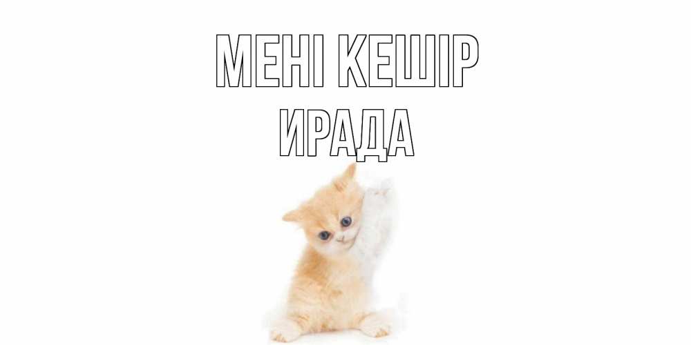 Күн сайын ашық хат с именем, ИРАДА Мені кешір кот Онлайн тегін жүктеп алу тілектері бар керемет карта 