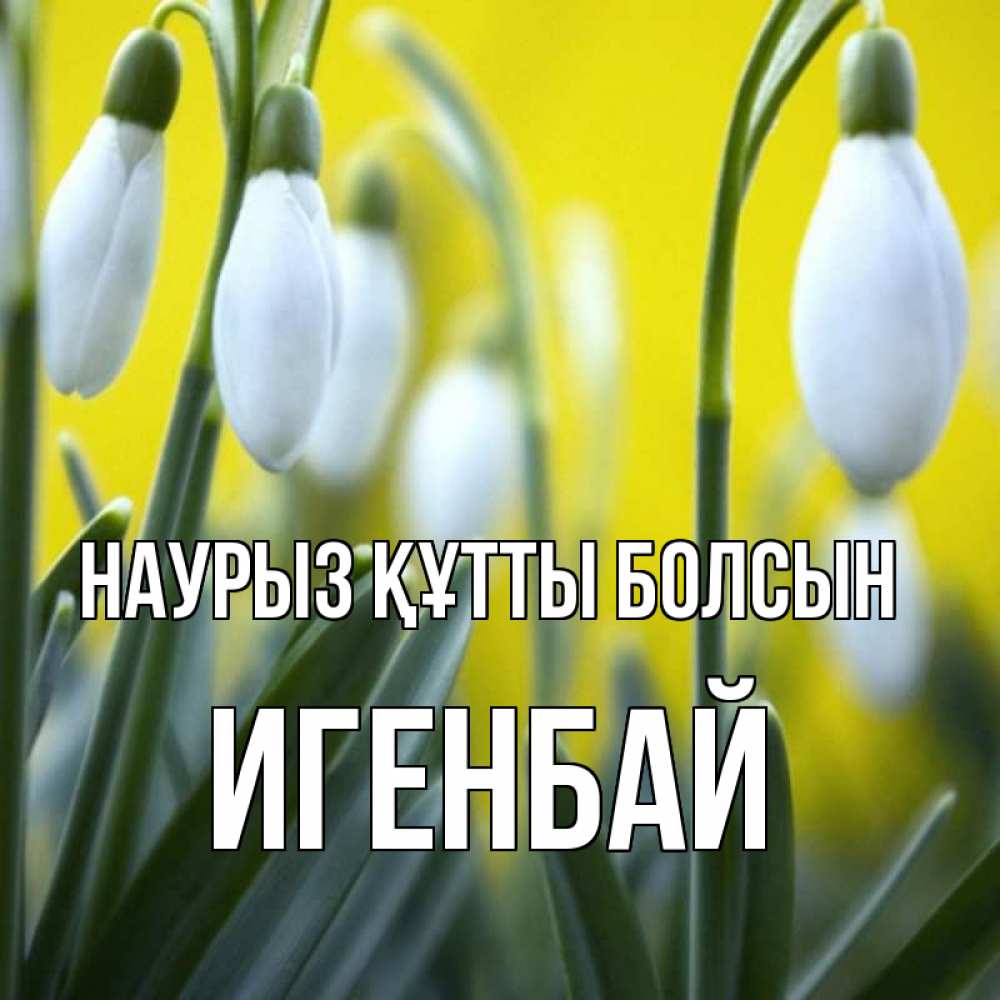 Күн сайын ашық хат с именем, Игенбай Наурыз құтты болсын весенние цветы Онлайн тегін жүктеп алу тілектері бар керемет карта 