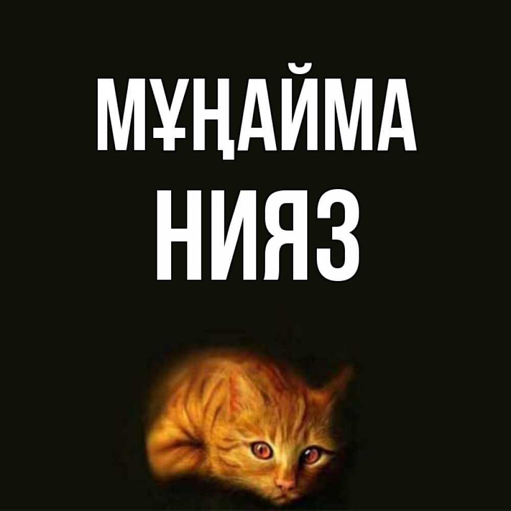 Күн сайын ашық хат с именем, НИЯЗ Мұңайма лежащий кот в темноте Онлайн тегін жүктеп алу тілектері бар керемет карта 