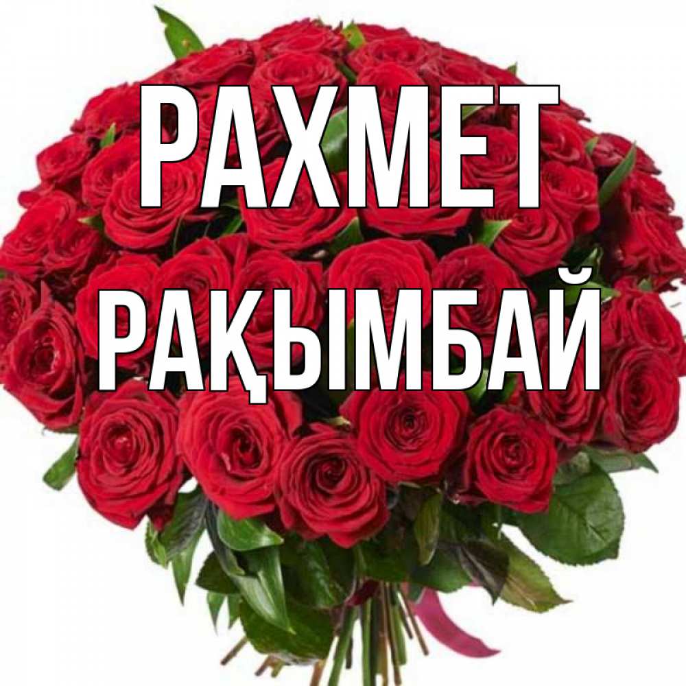 Күн сайын ашық хат с именем, Рақымбай рахмет букет красных роз Онлайн тегін жүктеп алу тілектері бар керемет карта 
