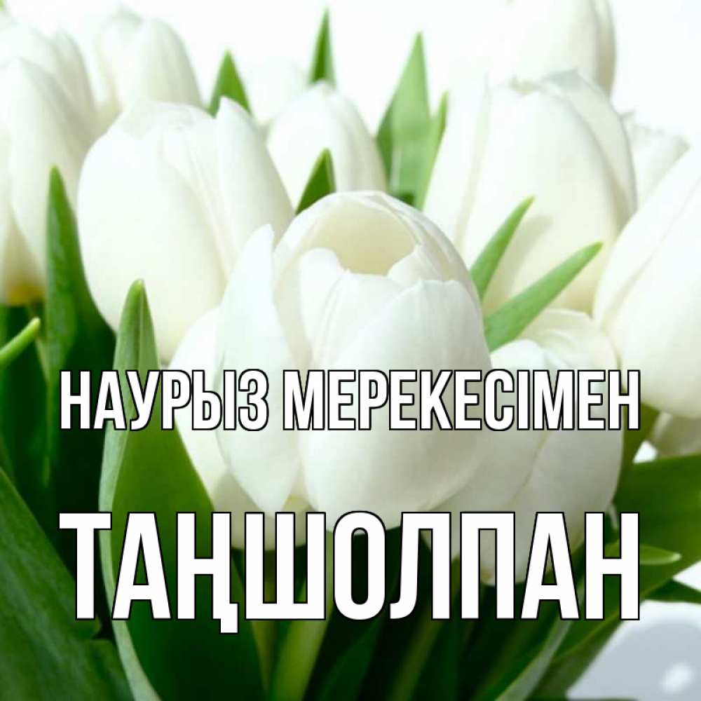Күн сайын ашық хат с именем, ТАҢШОЛПАН Наурыз мерекесімен цветы Онлайн тегін жүктеп алу тілектері бар керемет карта 