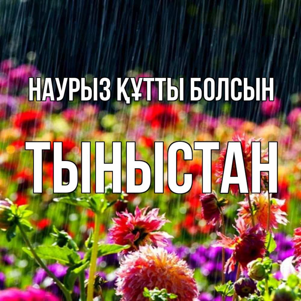 Күн сайын ашық хат с именем, ТЫНЫСТАН Наурыз құтты болсын цветы под дождиком к наурызу Онлайн тегін жүктеп алу тілектері бар керемет карта 