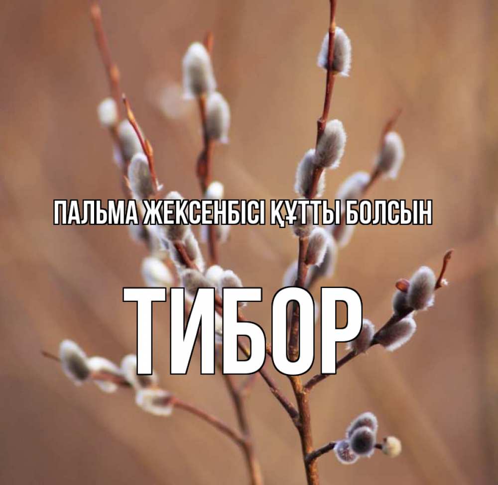 Күн сайын ашық хат с именем, Тибор Пальма жексенбісі құтты болсын верба Онлайн тегін жүктеп алу тілектері бар керемет карта 