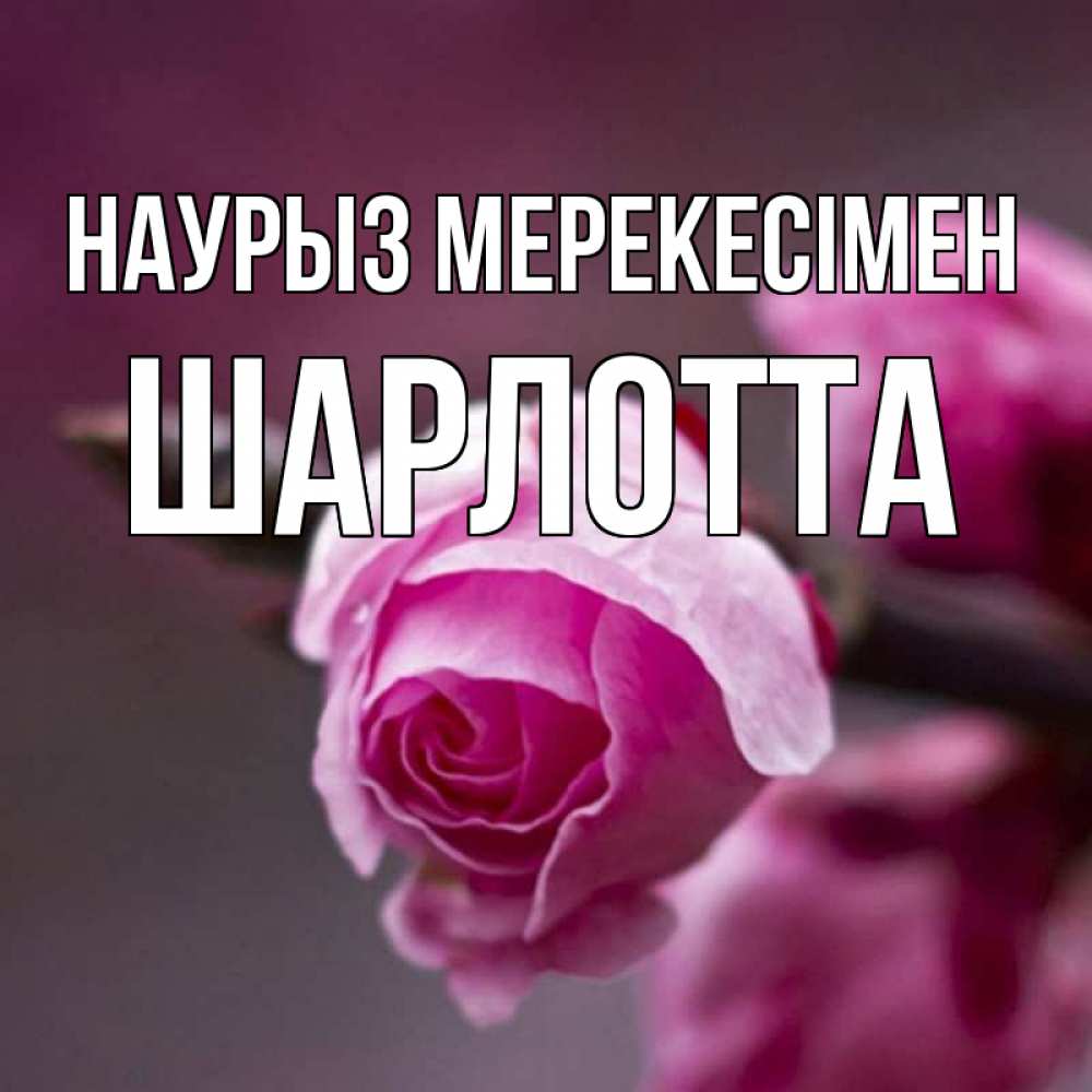 Күн сайын ашық хат с именем, Шарлотта Наурыз мерекесімен весна Онлайн тегін жүктеп алу тілектері бар керемет карта 