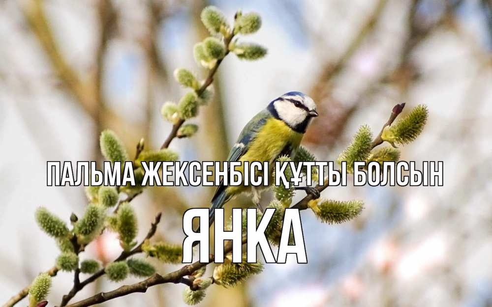 Күн сайын ашық хат с именем, Янка Пальма жексенбісі құтты болсын верба Онлайн тегін жүктеп алу тілектері бар керемет карта 