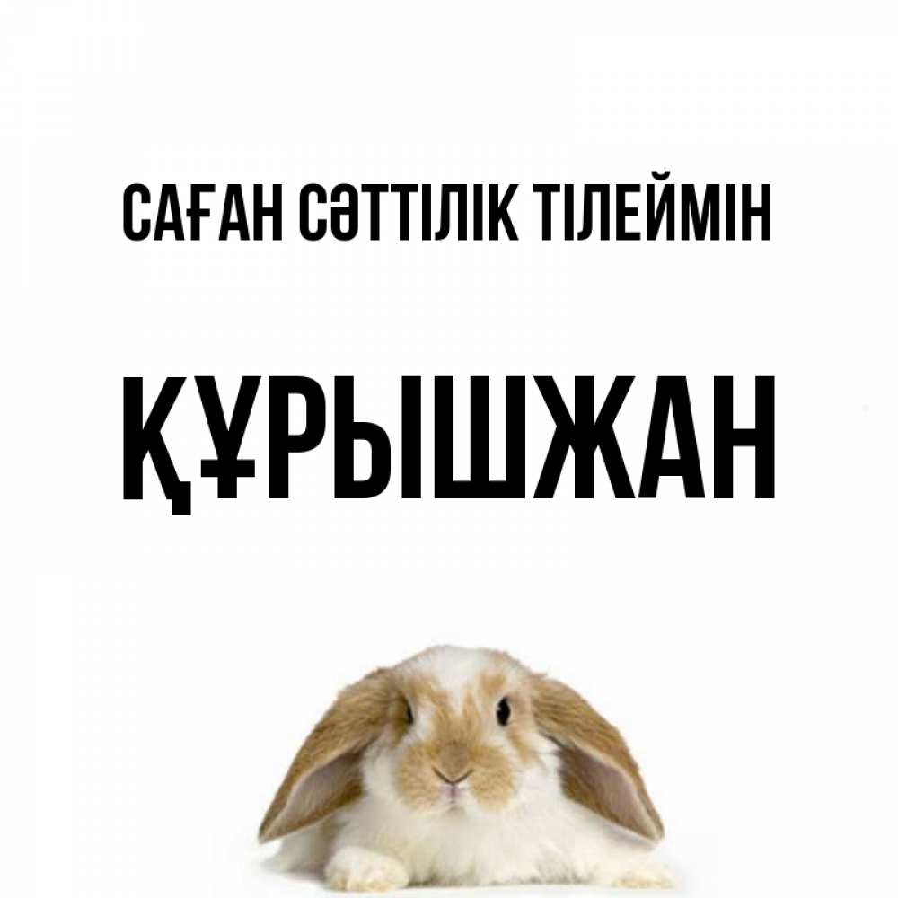 Күн сайын ашық хат с именем, ҚҰРЫШЖАН Саған сәттілік тілеймін открытки с произвольным текстом который можно вставить в открытку и создать ее самостоятельно бесплатно онлайн Онлайн тегін жүктеп алу тілектері бар керемет карта 