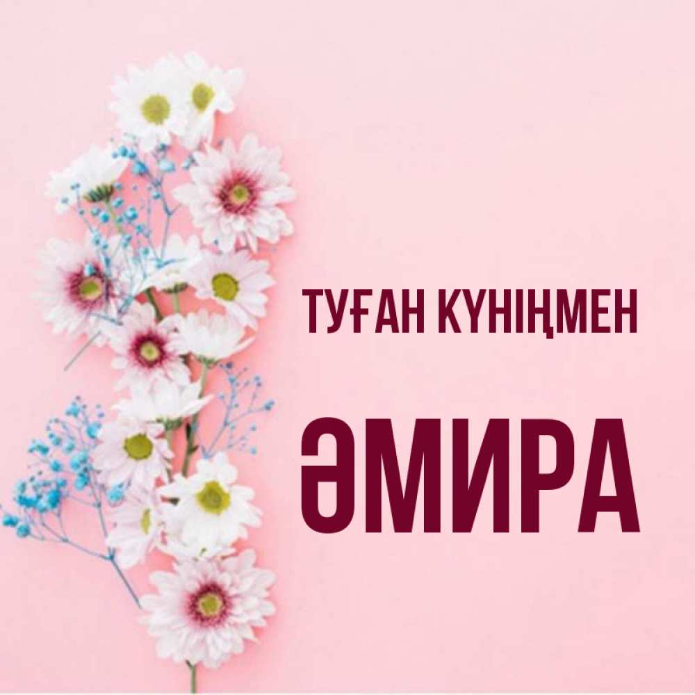 Күн сайын ашық хат с именем, ӘМИРА Туған күніңмен Родная моя с днем рождения тебя картинка с цветами белыми и голубыми Онлайн тегін жүктеп алу тілектері бар керемет карта 
