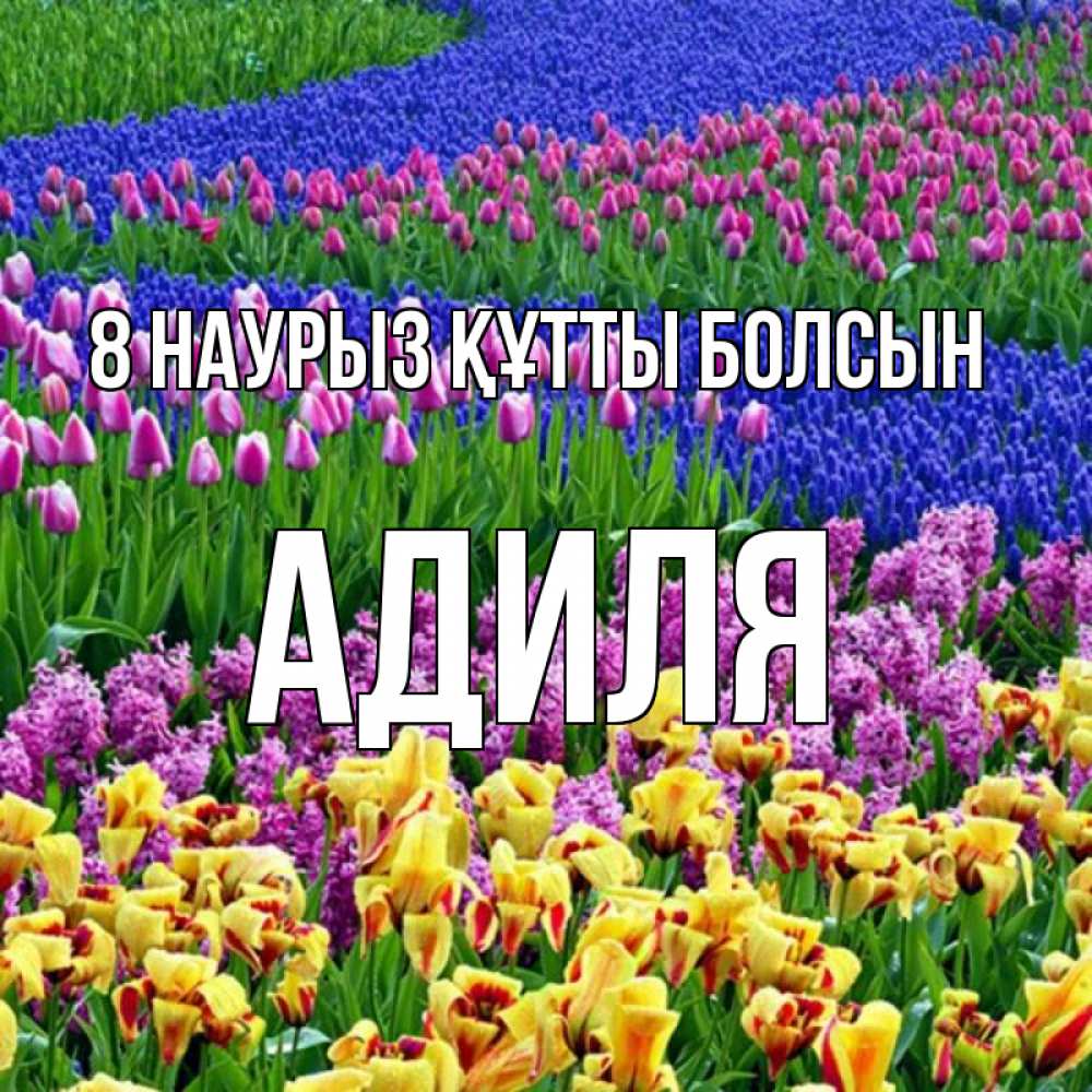 Күн сайын ашық хат с именем, Адиля 8 наурыз құтты болсын цветы Онлайн тегін жүктеп алу тілектері бар керемет карта 